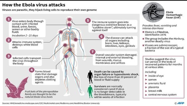 ebola_virus_attacks.jpg