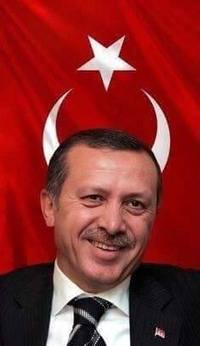 erdohorns.jpg