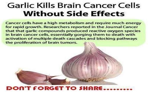 garlic_cancer.jpg