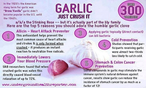 garlic_crush.jpg