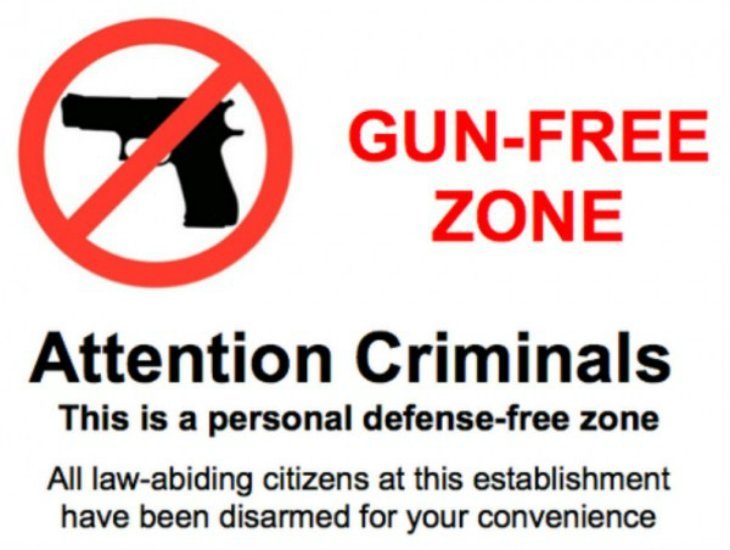 gunfreezone555.jpg