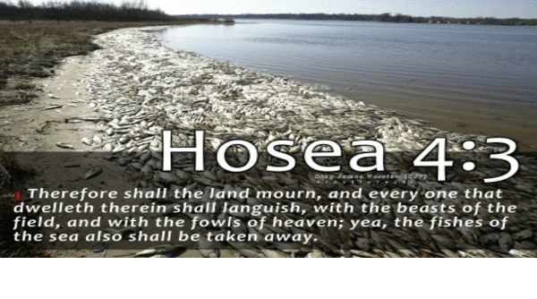 hosea_43.gif