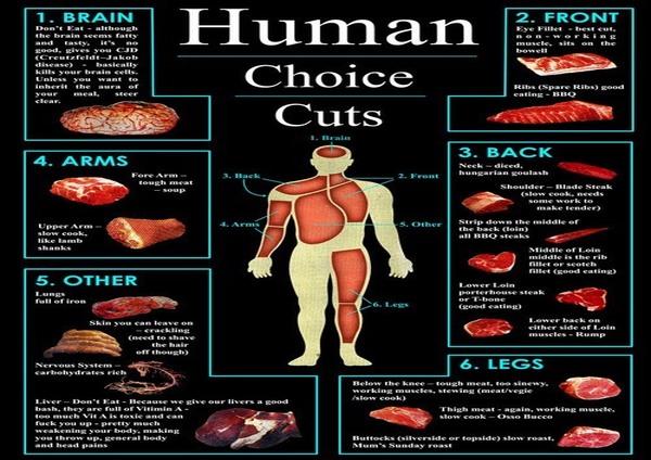 human_choice_cuts.jpg