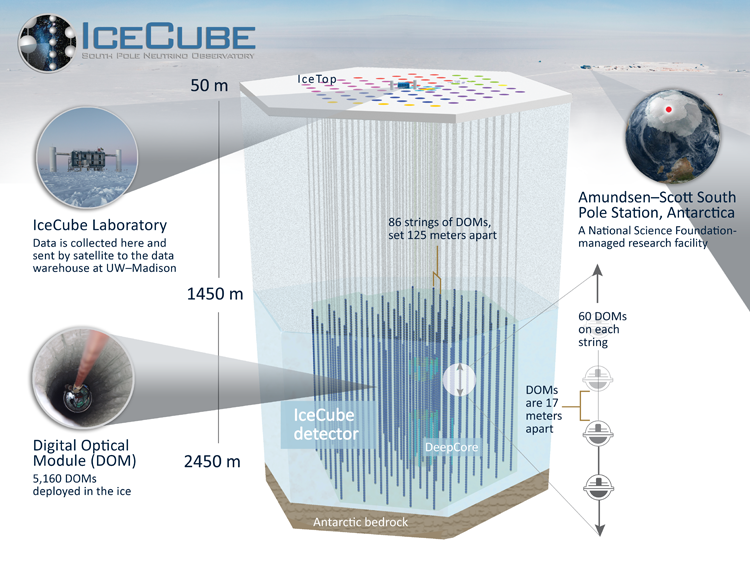 icecube_detector_sm.png