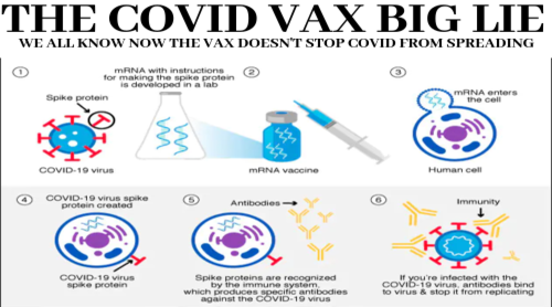 Doctor Confirms What The Eugenicists Don't Want Us To Know: The Deadly Vax Turns The Human Body Into A Spike Protein Factory With Micro Blood Clots Doing The Work Of Depopulation Imageedit_5_3780676864