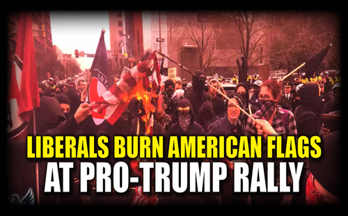 liberals_burn_American_flags.jpg
