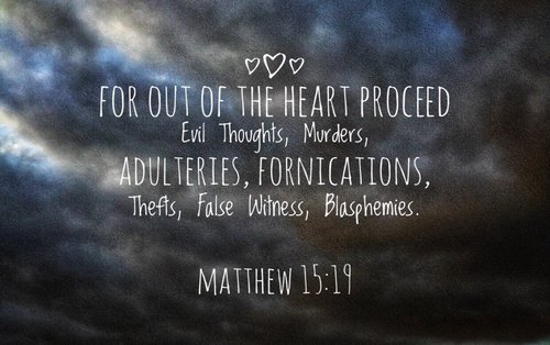 matthew1519.jpg