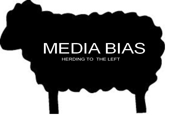 media-biasHERDINGLEFT.png