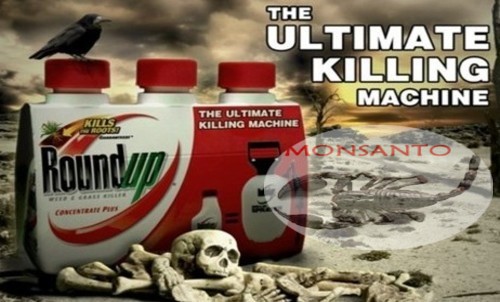 monsanto_ultimate_killing_machine.jpg