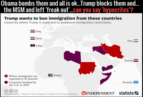 msm_left_hypocrites.png