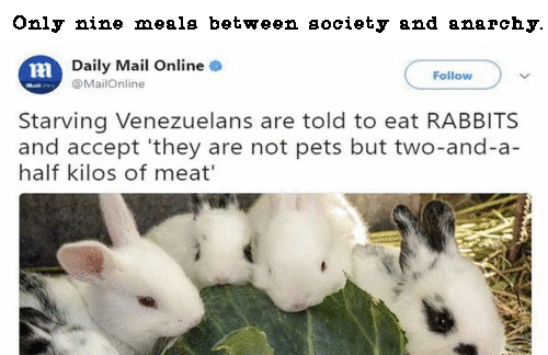 rabbit_dinner.gif