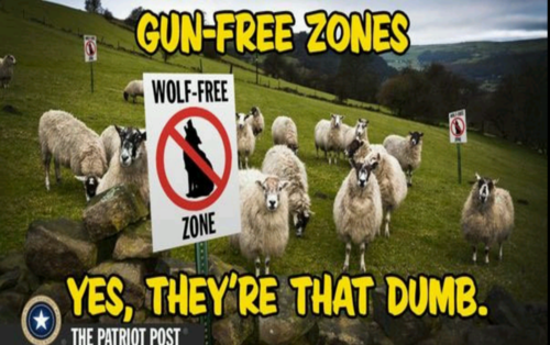sheep_propose_wolf_free_zones.png