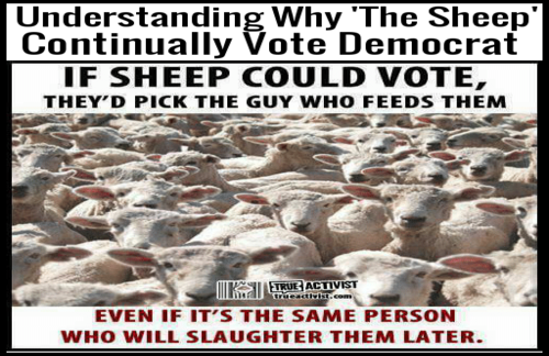 sheep_vote_democrat.png