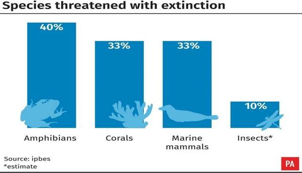 What Is In The Water? New UN Study Demonizes Humans For Future Extinctions