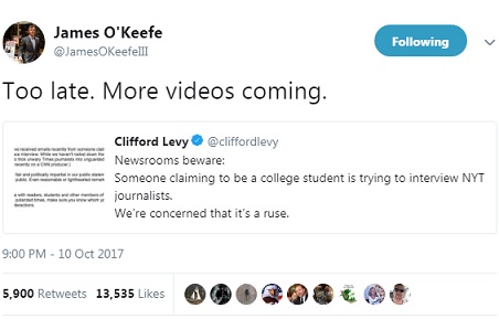 toolateOkeefe.jpg