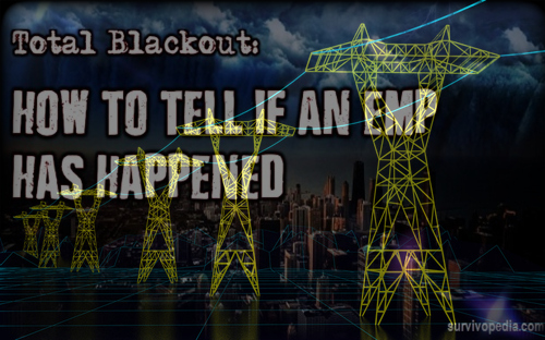 total_blackout_grid_down.jpg