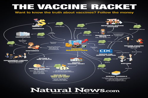 vaccines_follow_the_money.jpg